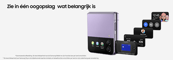 Samsung Z Flip4 camera