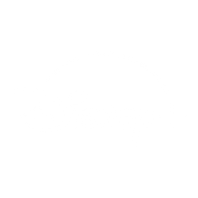 Disney+