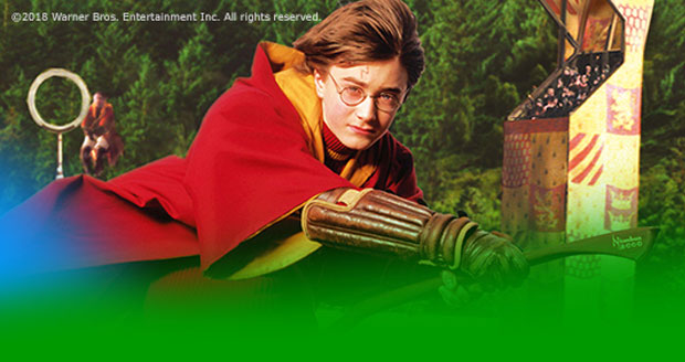 Harry Potter Harry Potter