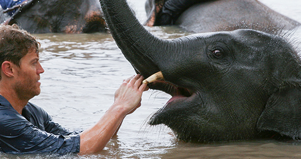 Animal Planet