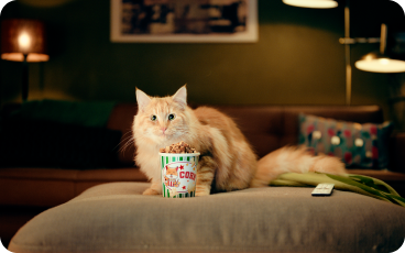 Entertainment bij KPN