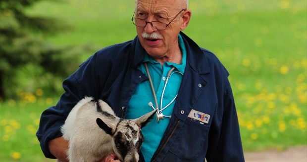 dr. Pol met lammetje dr. Pol met lammetje