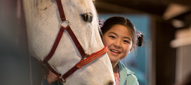 Waar is het paard van Sinterklaas Waar is het paard van Sinterklaas