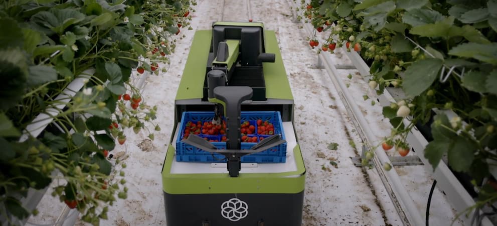 Tuinbouwrobots Octiva wereldwijd verbonden dankzij KPN IoT